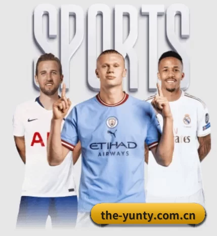 本站五个常用功能入口,赛程查询路径更短((Yuntiyu))